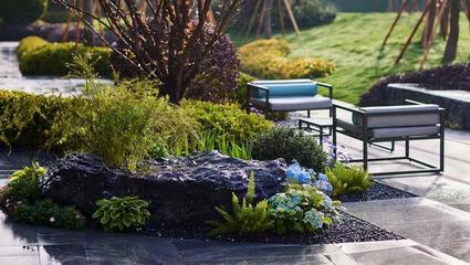 万科"锦系"首落郑州 云河锦上开盘热销--郑州万科以产品进阶拓突围之道