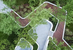 重庆公司精品大区处女作曝光丨金科九曲河