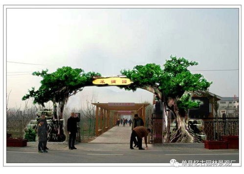 【郑州假树大门假树价格生态园假树大门图片】-