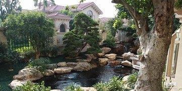 南海区盐步工厂园林绿化养护别墅假山鱼池绿化景观设计