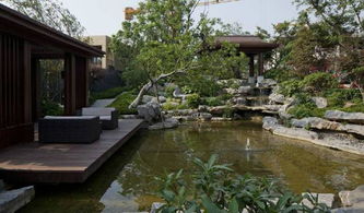 泰禾院子系产品 新中式院落别墅景观设计的艺术与意境