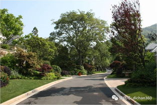 绿城别墅项目景观设计手法探析