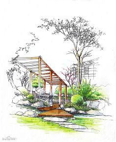 景观植物单体在景观设计中的角色与策略