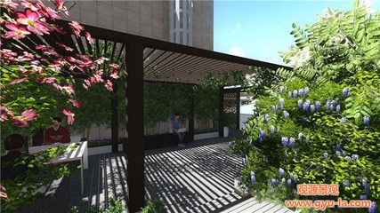 专业景观设计 陕西观源景观工程的艺术与实用之道