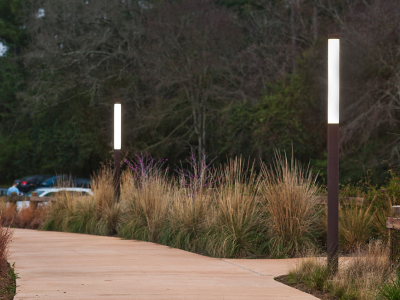 光影交错，夜韵生辉 园林景区景观照明设计核心技巧探析